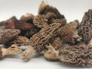 1212352077359276 7105659794449764756 n