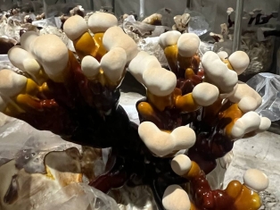 1289325122995304 5049786673257209787 n