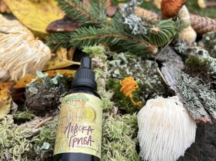 1303021051625711 7391591369955054315 n