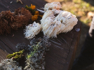 1303021018292381 2998314632052859547 n